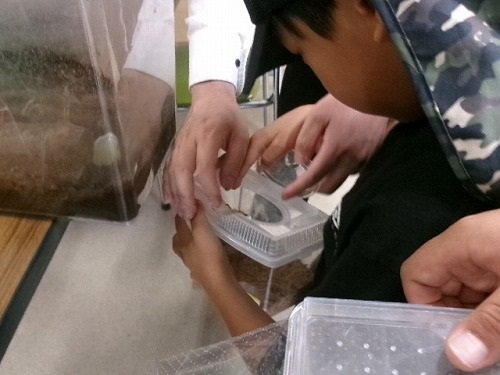105_2919.jpg