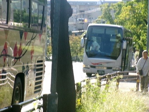 105_6689.jpg