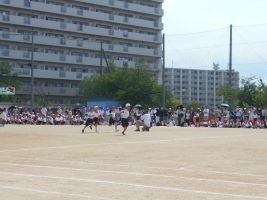 DSCN1311.JPG