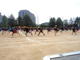 DSCN1324.JPG