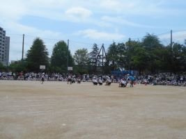 DSCN1332.JPG