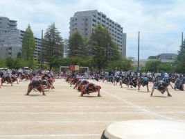 DSCN1335.JPG