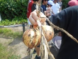 DSCN1377.JPG