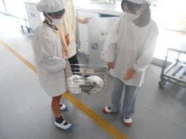 DSCN1550.JPG