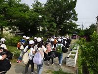 DSC03519.JPG