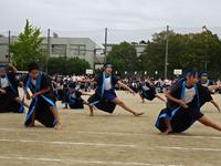 DSC04445.JPG