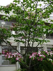 DSC02701.JPG