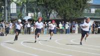 IMG_6549.JPG