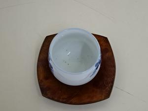 DSC02728.JPG