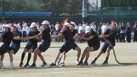 IMG_6762.JPG