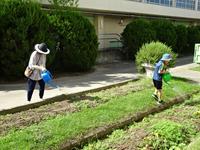 DSC03682.JPG