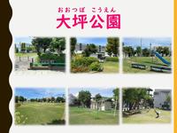 大坪公園スナップ.jpg