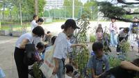 IMG_6230.JPG