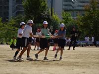DSC04288.JPG