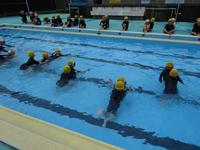 DSC03481.JPG