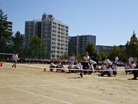 DSC04323.JPG