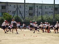 DSC04311.JPG