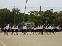 DSC04383.JPG