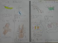 DSC03855.JPG