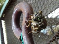 DSC03538.JPG