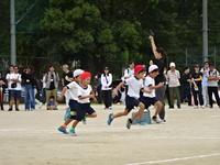 DSC04411.JPG