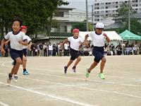 DSC04469.JPG