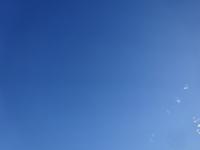 DSC04549.JPG
