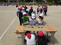 DSC08226.JPG