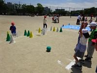 DSC08253.JPG