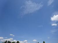 DSC08291.JPG