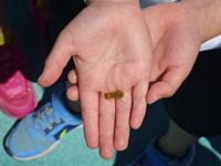 DSC08358.JPG