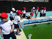 DSC08359.JPG