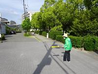 DSC08385.JPG