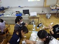 DSC08433.JPG