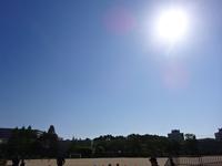 DSC08437.JPG