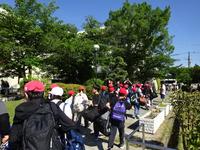DSC08445.JPG