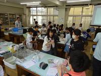 DSC08490.JPG