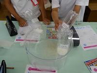DSC08497.JPG