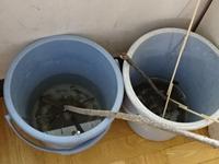 DSC08618.JPG