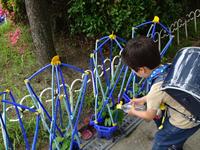 DSC08665.JPG