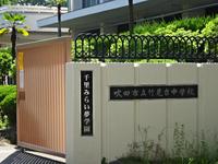 DSC08703.JPG