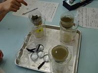 DSC08803.JPG