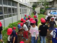 DSC08935.JPG