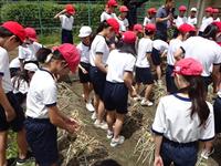 DSC08946.JPG