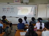 DSC09029.JPG
