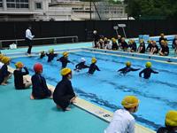 DSC09047.JPG
