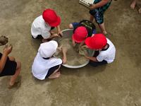 DSC09178.JPG