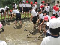IMG_0140.JPG