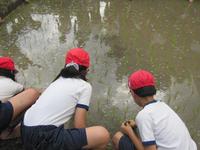 IMG_0150.JPG