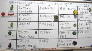 IMG_0176.JPG